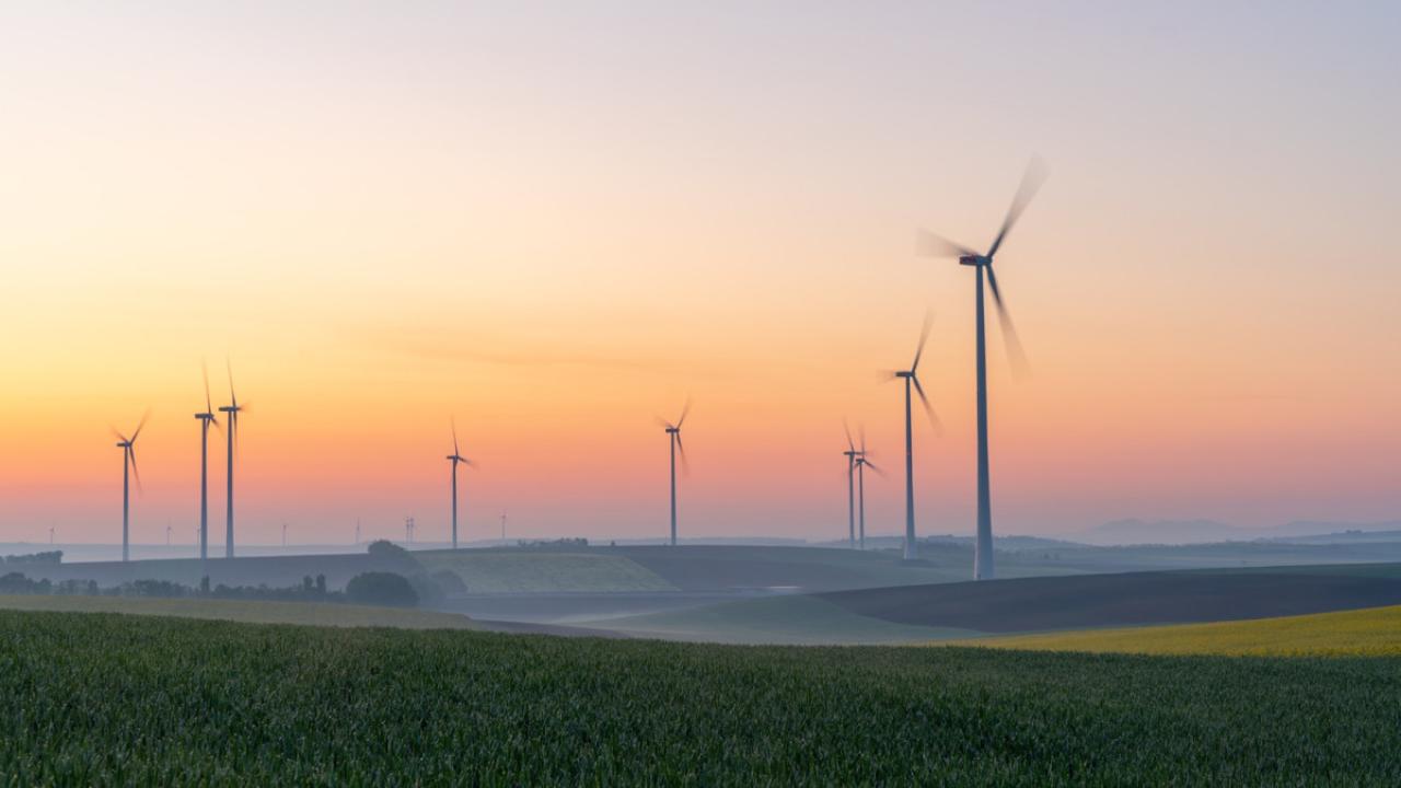 Wind turbines in a field with a sunset in the background