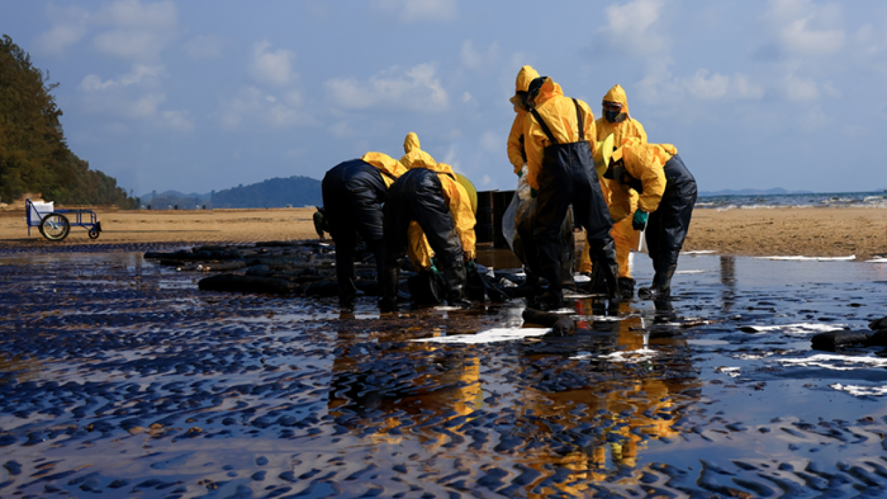 Group of workers cleaning up an oil spill on the beach