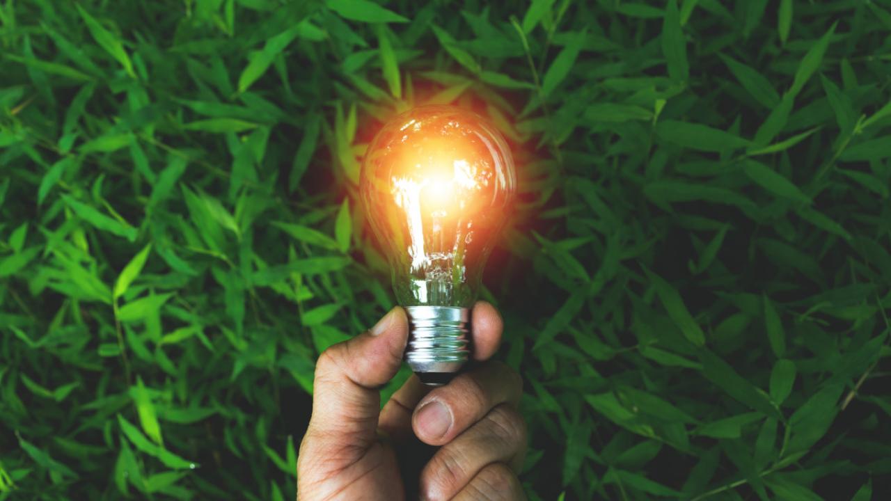 Hand holding lightbulb with grass background