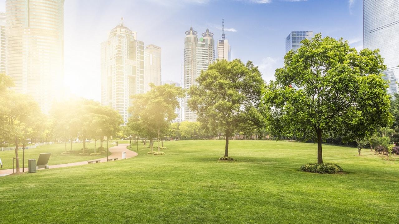 city park with sunlight