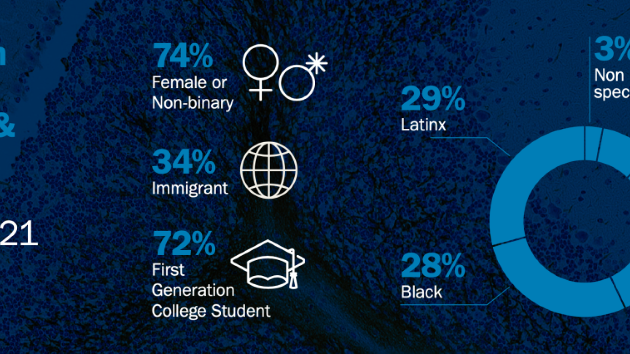 demographics of internship program