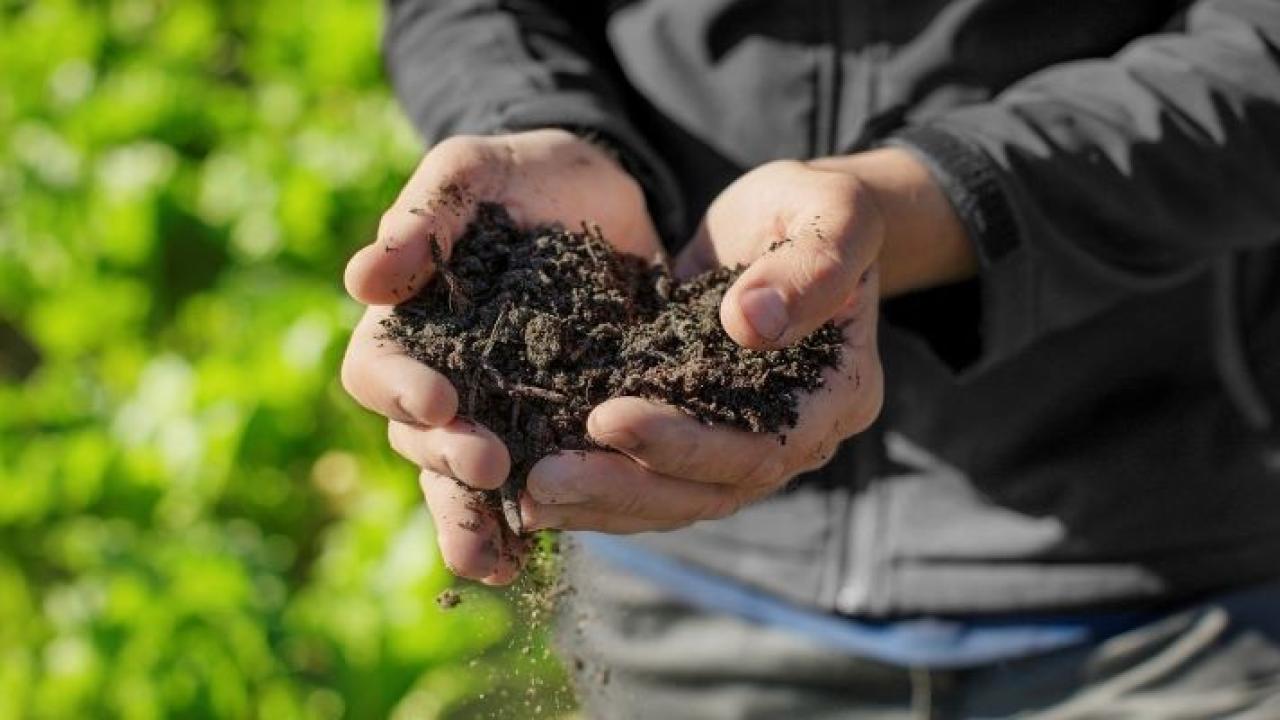 hands holding soil