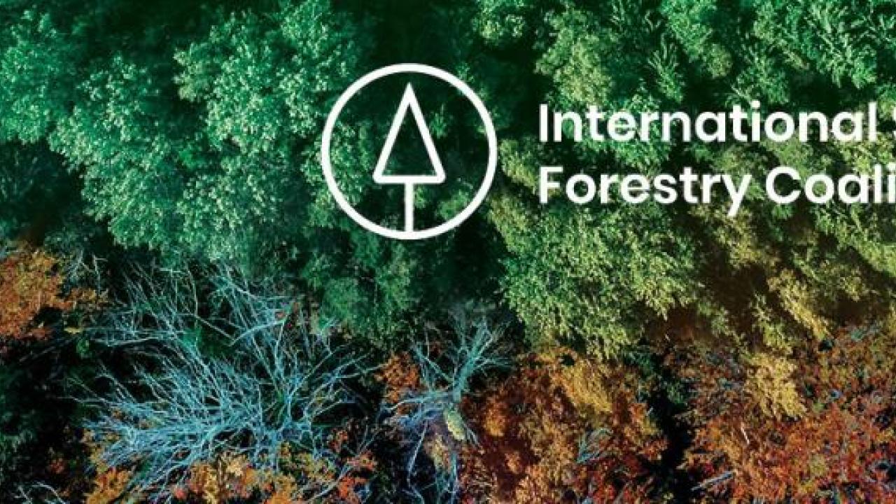 International Sustainable Forestry Coalition (ISFC)