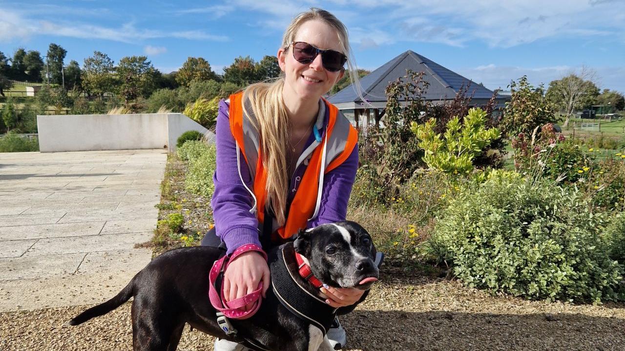 Volunteering at DSPCA