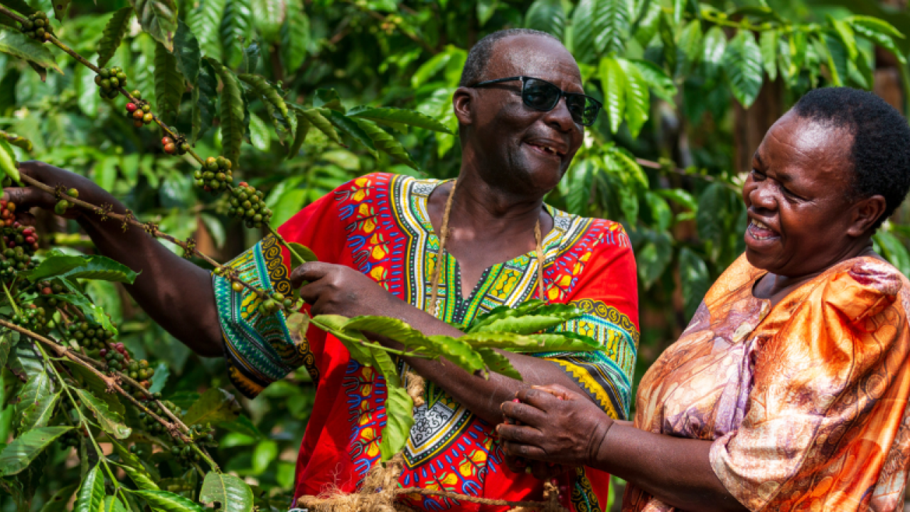 2 people laughing while picking from a tree