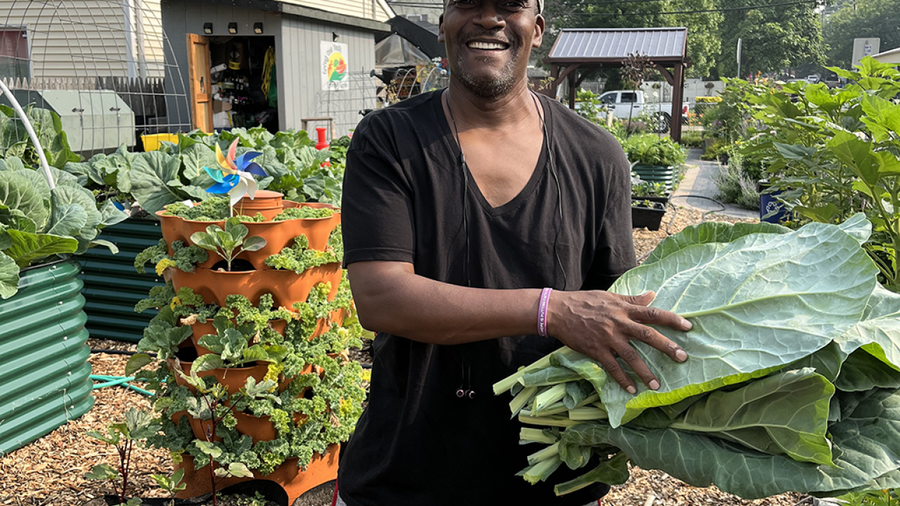 A person in a garden holding greens