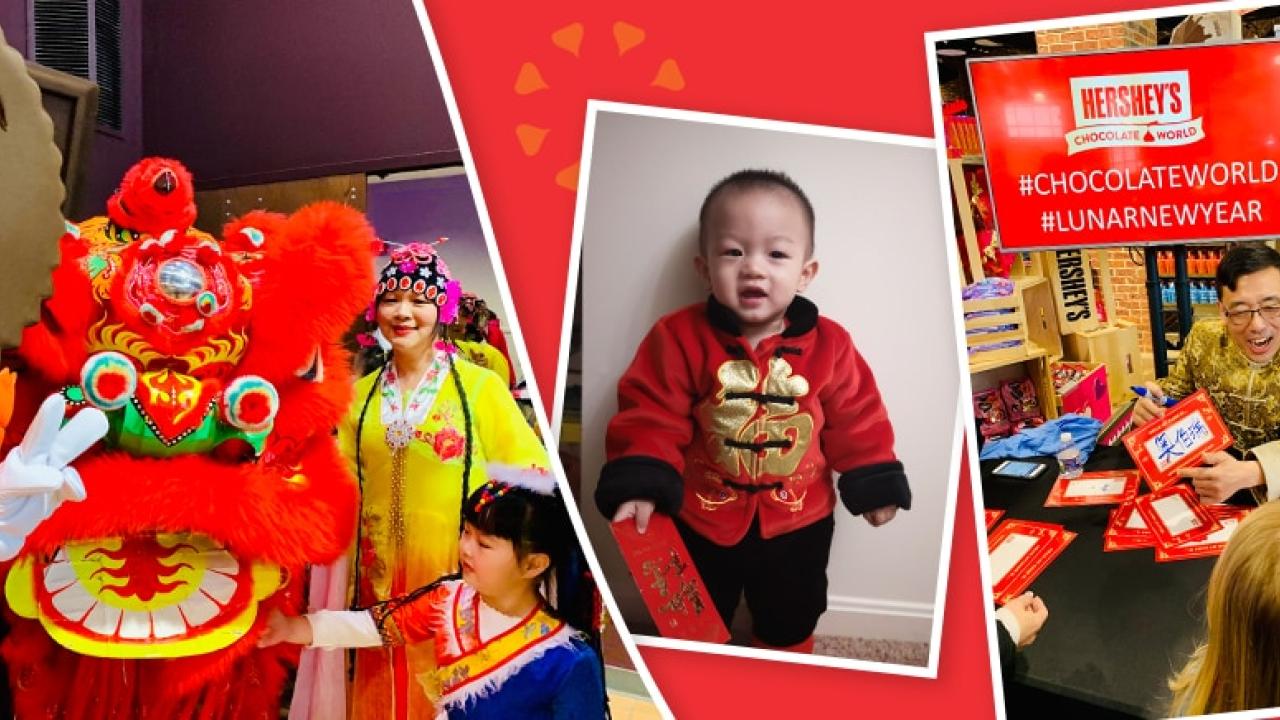 Lunar New Year celebration