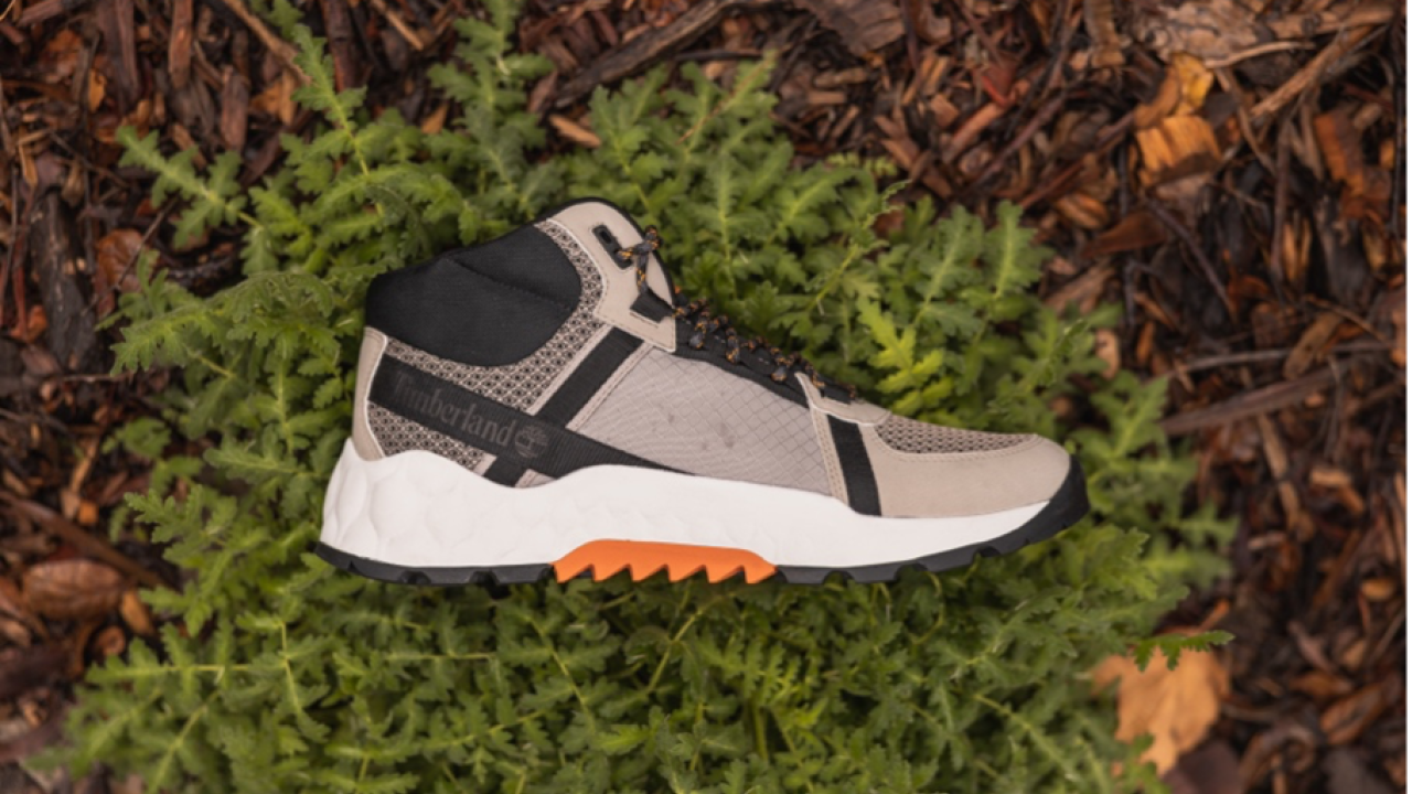 A shoe on the ground