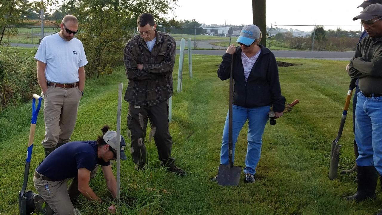 CNH Industrial employees planting trees