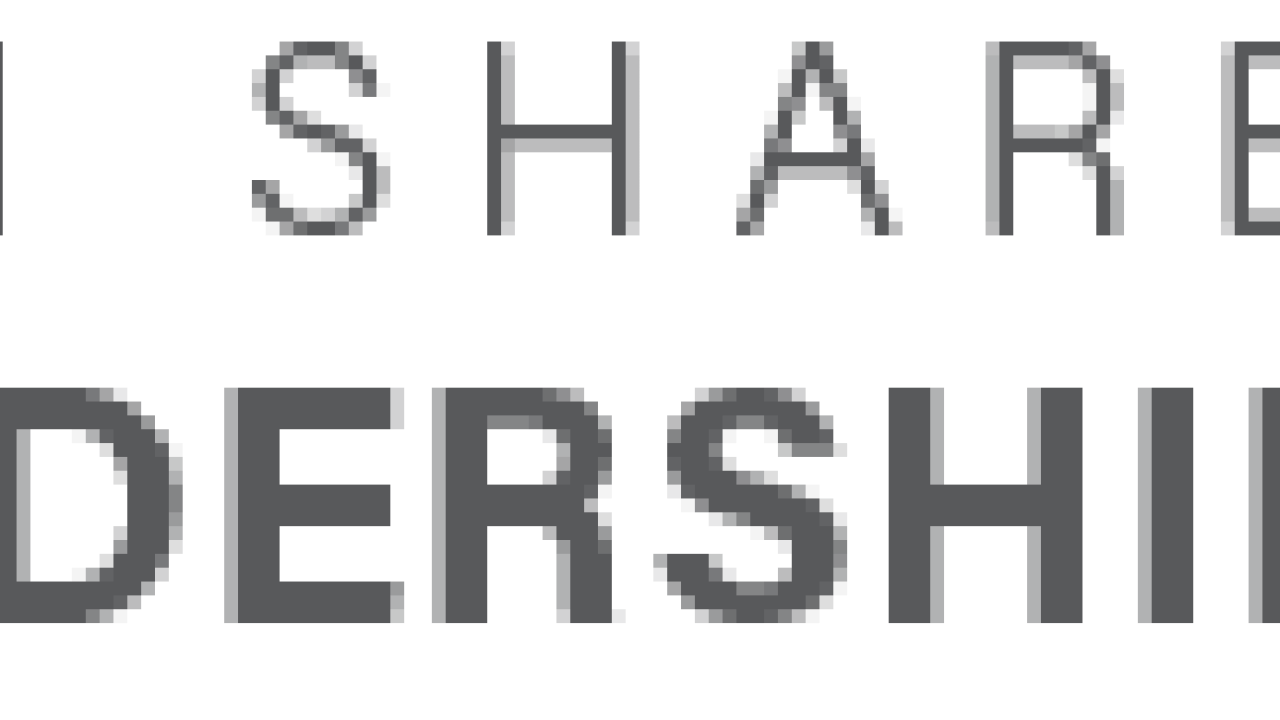 shared value leadership summit logo