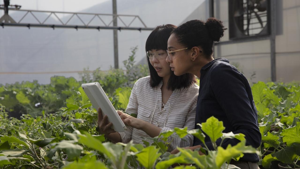 two people looking at a tablet in a greenhouse