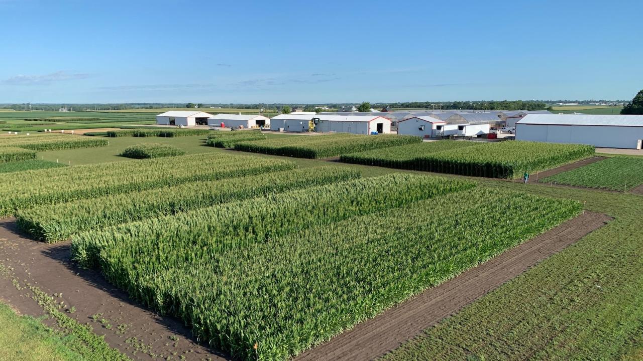 Farm and crops.