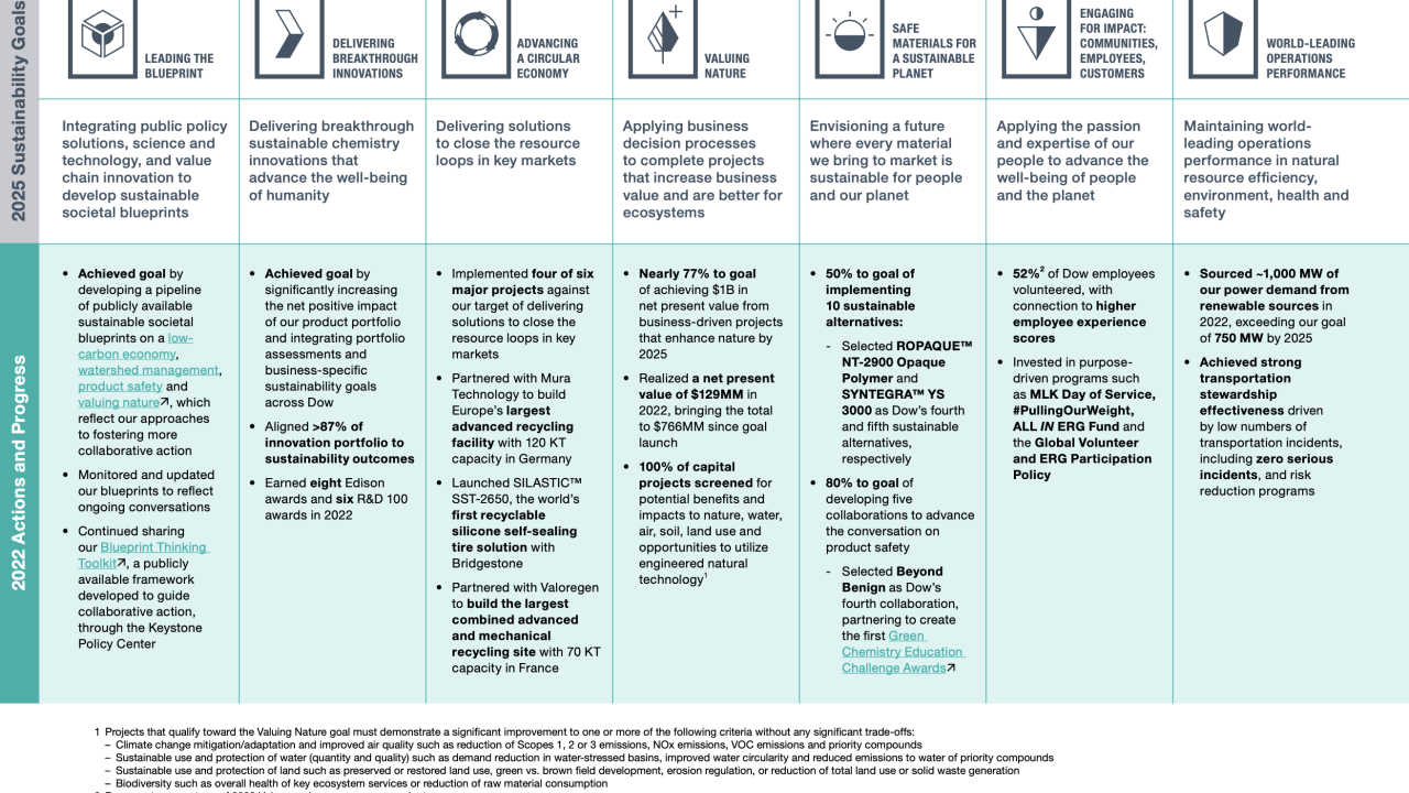 Table showing 2025 Sustainability Goals and 2022 Actions and Progress