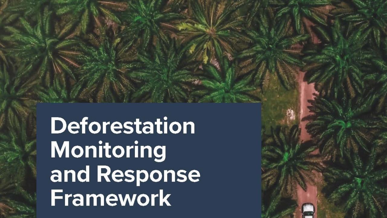 "Deforestation Monitoring and Response Framework" cover with aerial view of car driving through forest