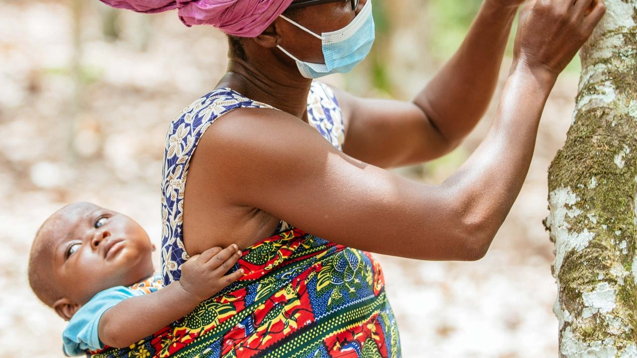 Cocoa farmer Regina Quayson (50) hand-pollinating a tree wearing VisionSpring eyeglasses. Hand-pollination is not possible without clear vision, and it increases yield by 110%.