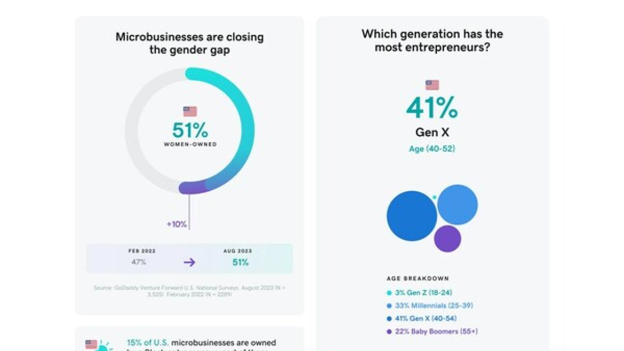A chart showing a closer look at microbusiness owners. 