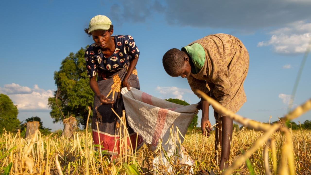 In Zambia, we developed climate-smart agriculture.