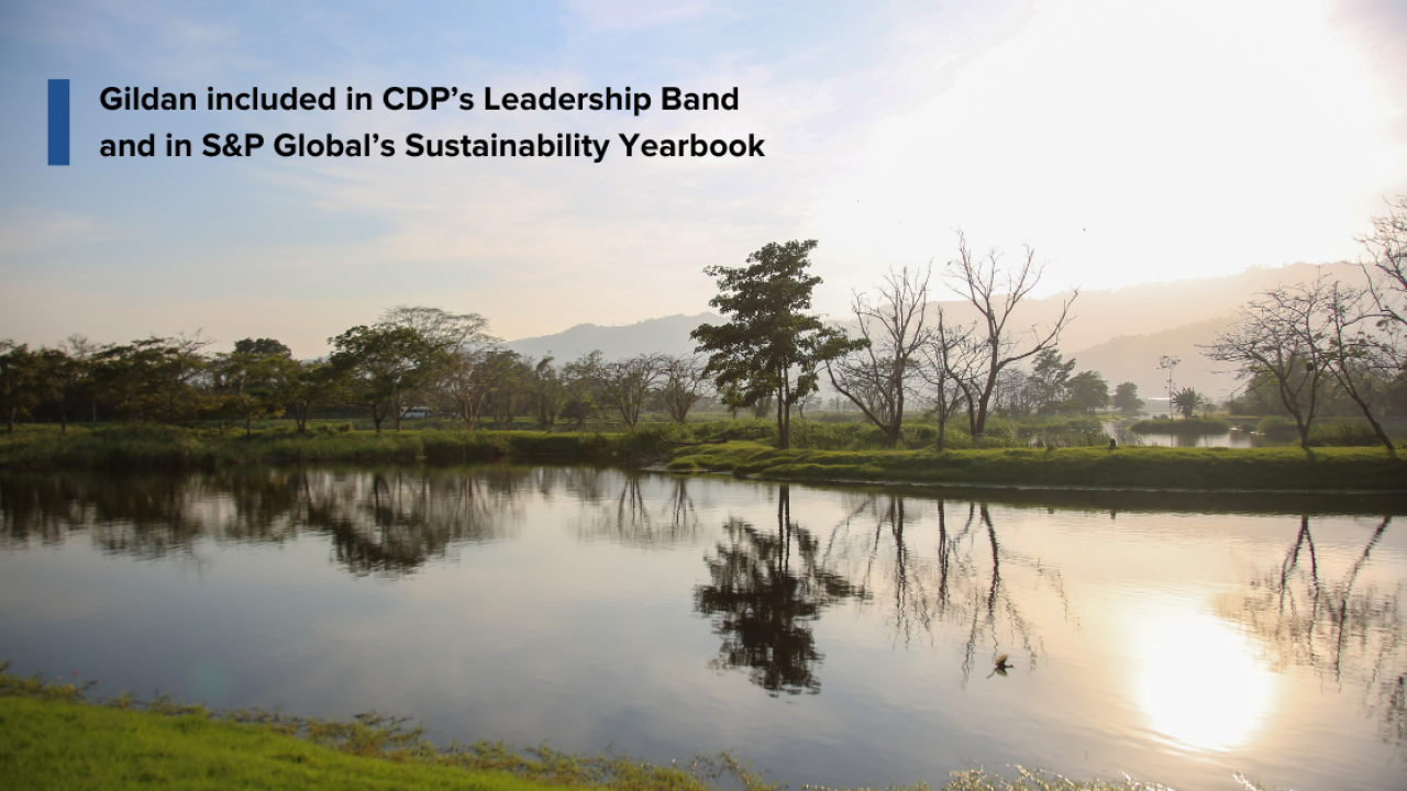 "Gildan Included in CDP’s Leadership Band and in S&P Global’s Sustainability Yearbook" text against a nature backdrop