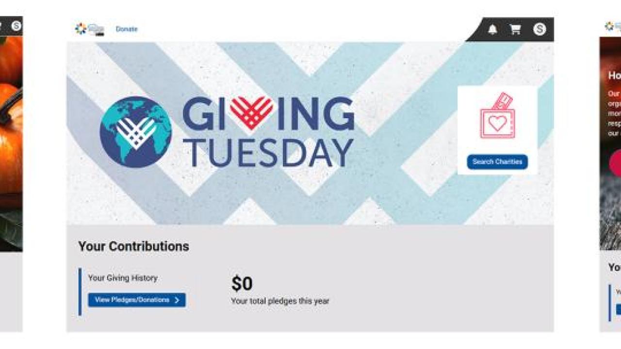 Launch a 2025 Holiday Giving Donation Campaign