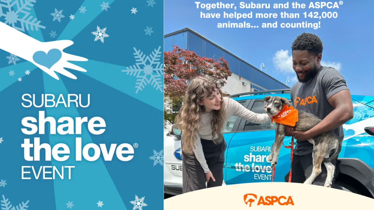 Someone pets a dog while another holds it, with text "Together, Subaru and the ASPCA have helped more than 142,000 animals... and counting!"