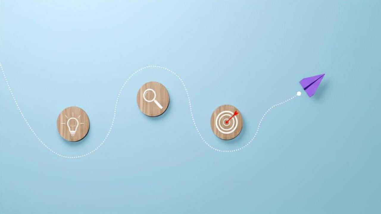 Project Roadmap