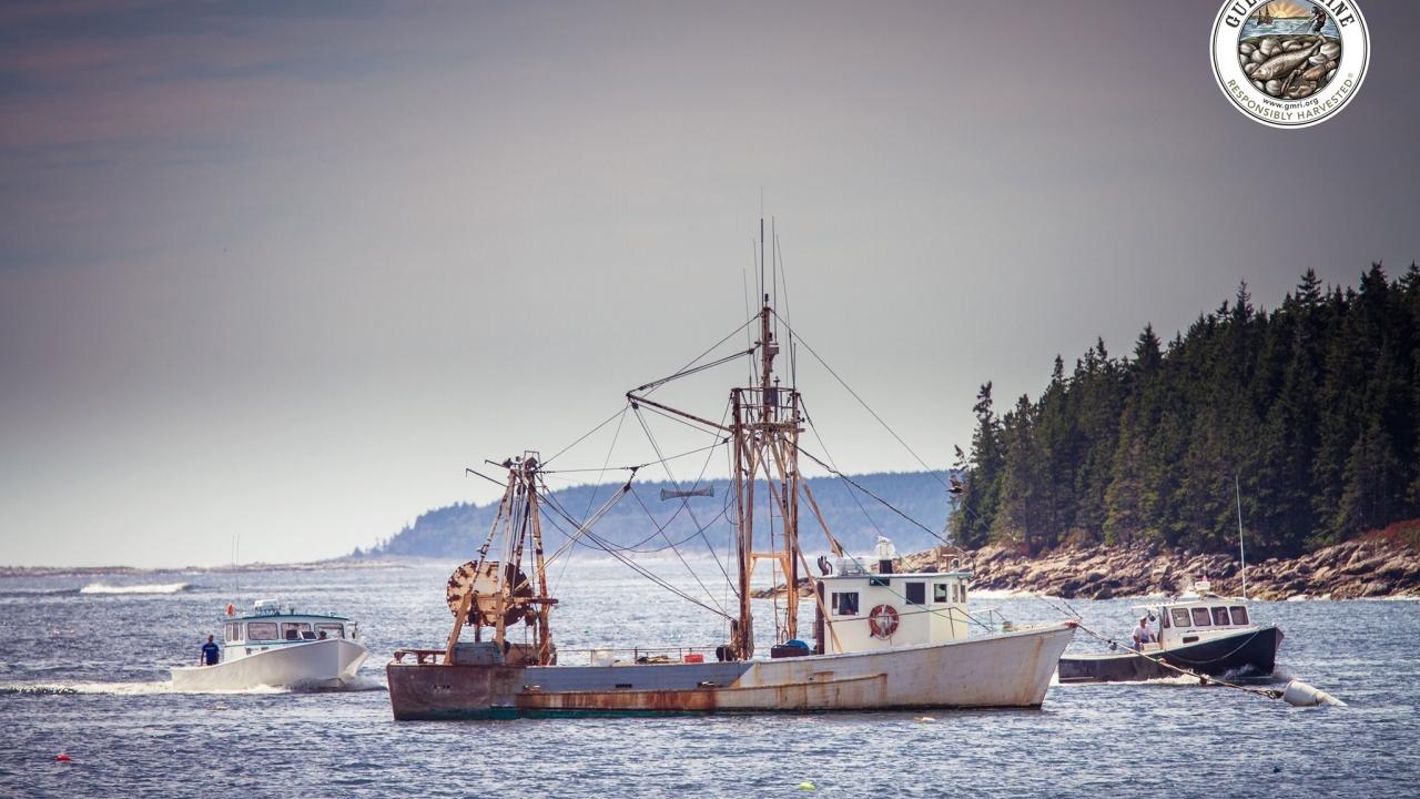 Fishing ship at sea