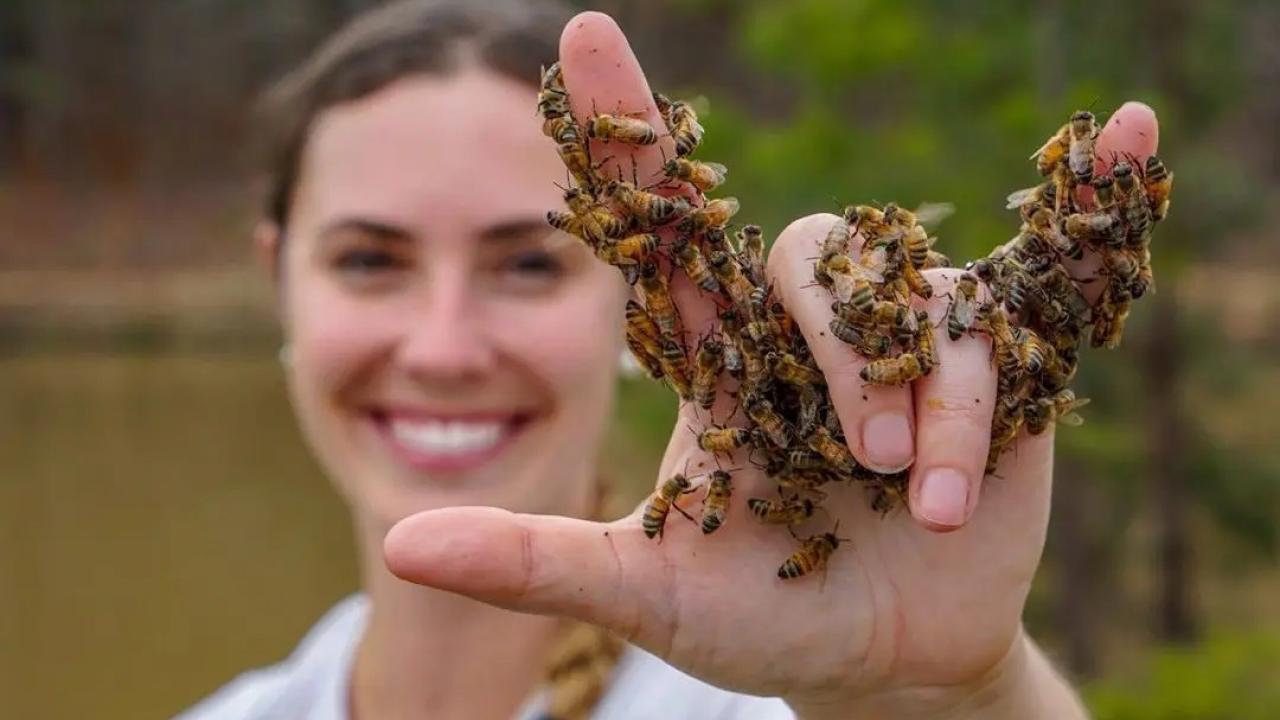 Leigh-Kathryn Bonner signing "I love you" with a hand covered in honeybees
