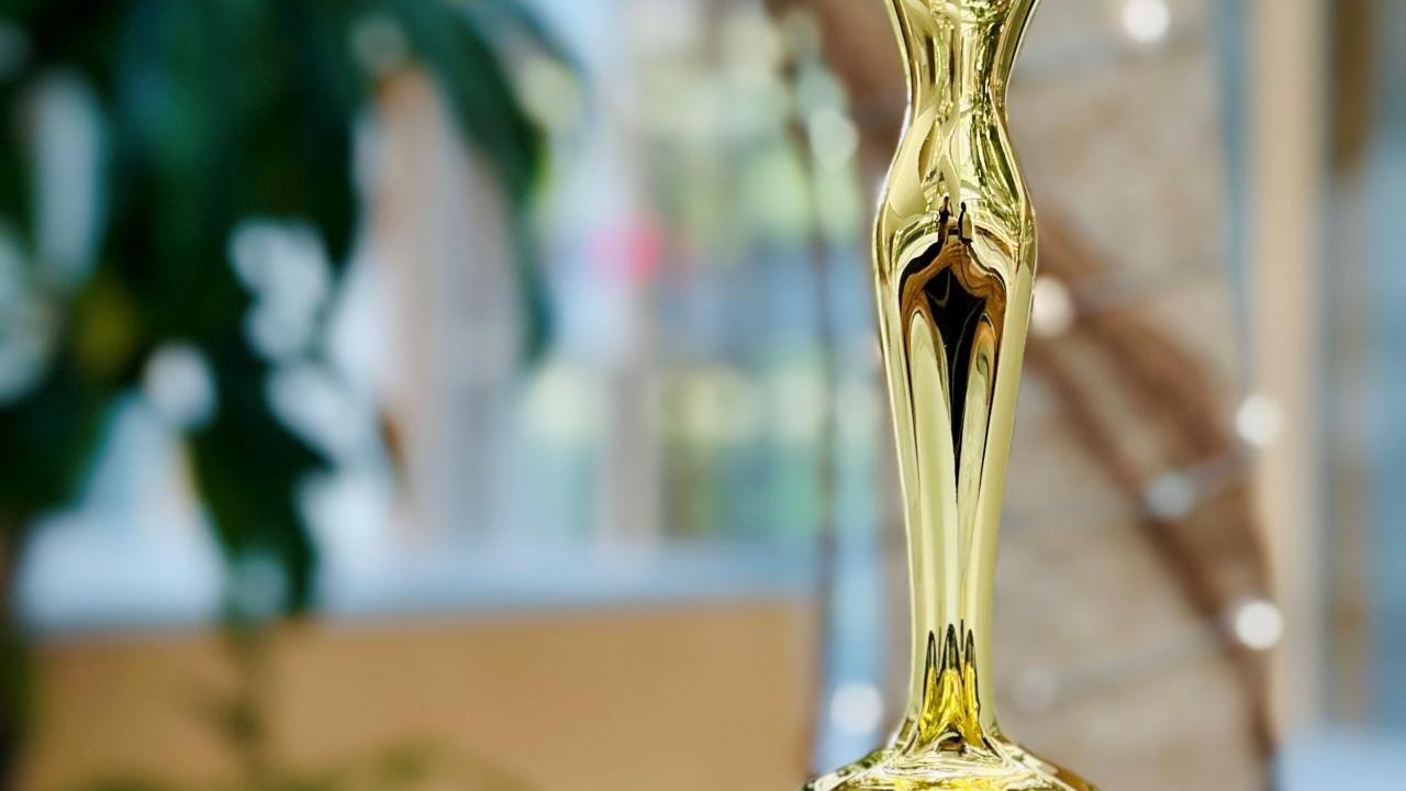 The Communicator Awards - Strategic Storytelling - Boehringer Ingelheim - Imagine 