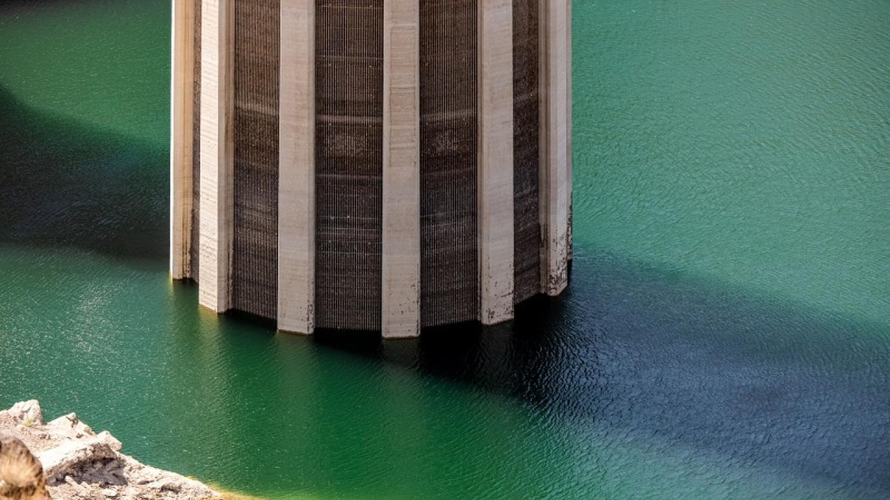 tower in green water
