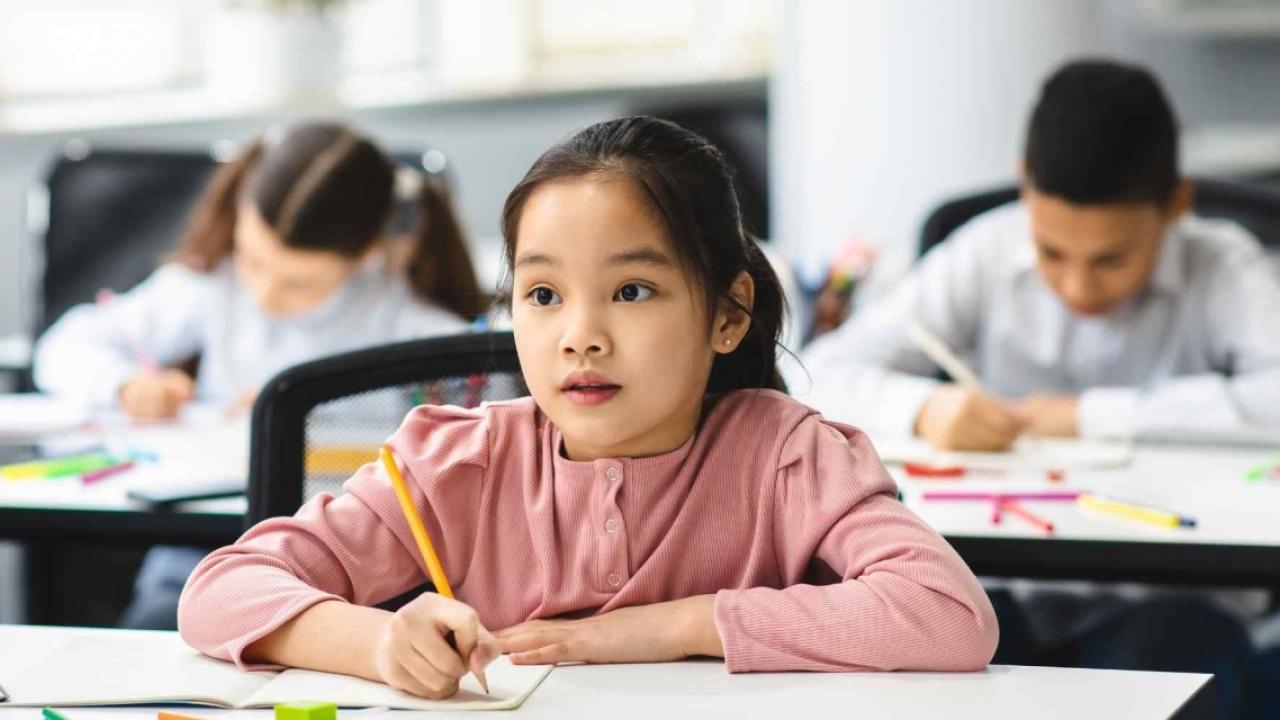 Students in class