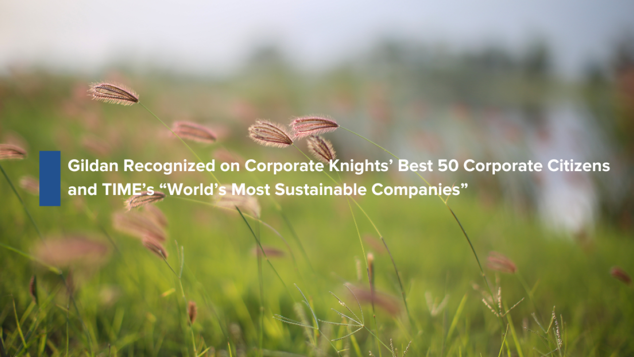 "Gildan Recognized on Corporate Knights’ Best 50 Corporate Citizens and TIME’s World’s Most Sustainable Companies" written on a backdrop of a close-up shot of grass and weeds