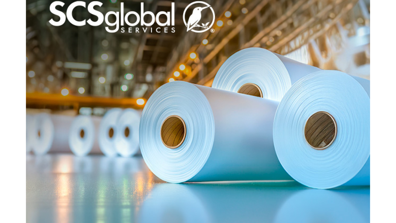 Rolls of Paper
