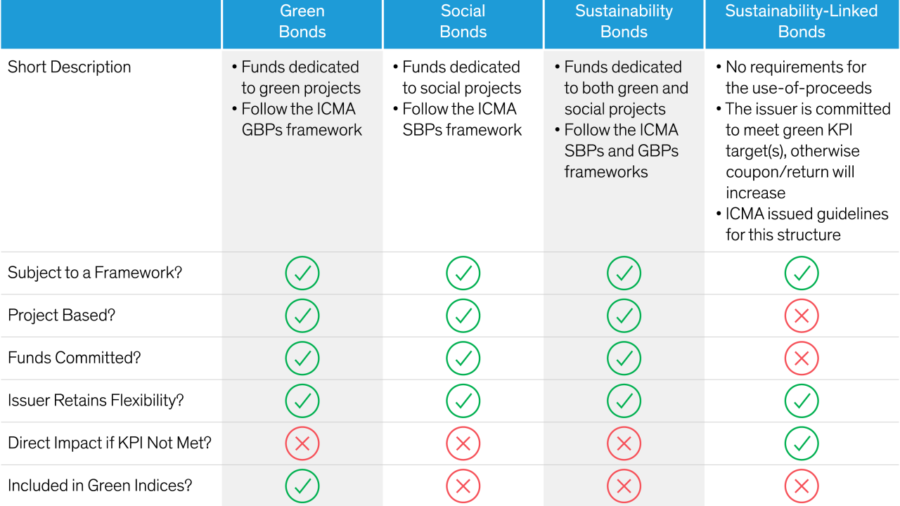 Table of comparison for ESG-Labeled Bonds: The Landscape