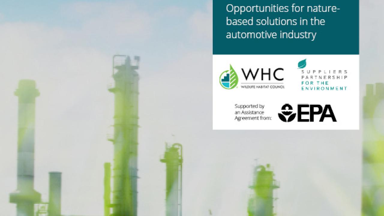 Cover of Pollution Prevention Report with picture of factory hidden behind blades of grass.