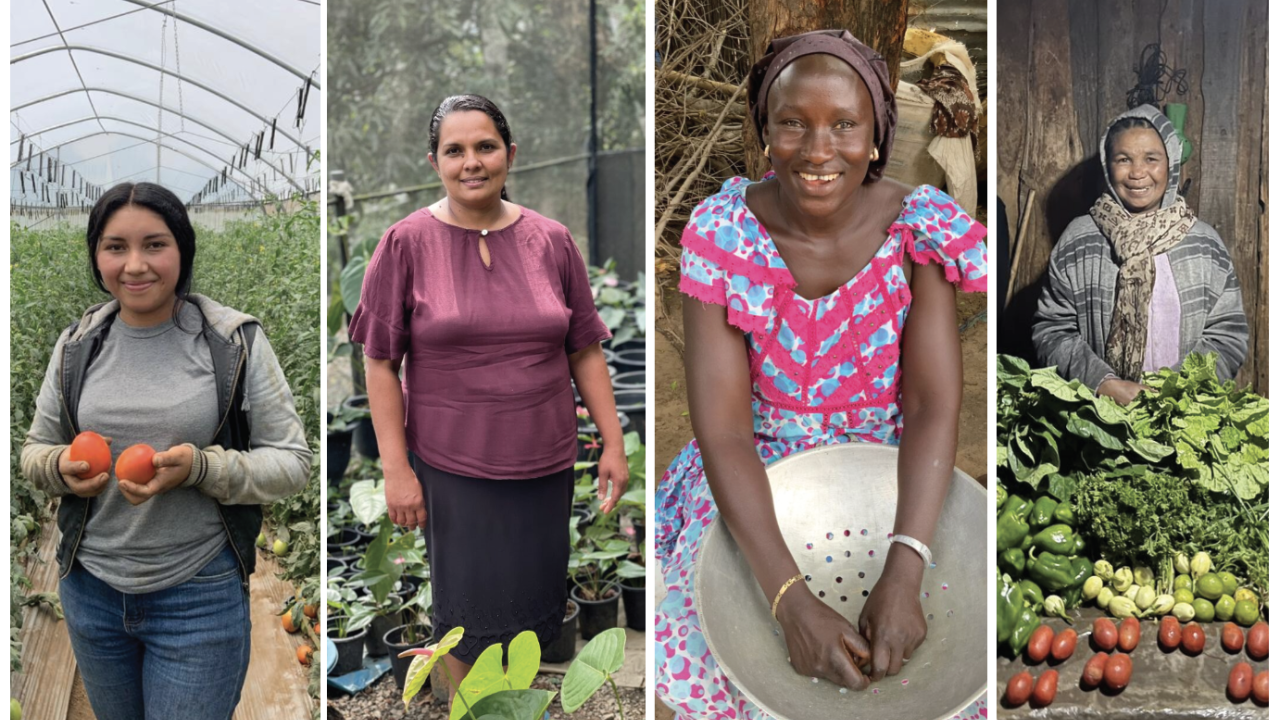 Collage of four people in agricultural settings.