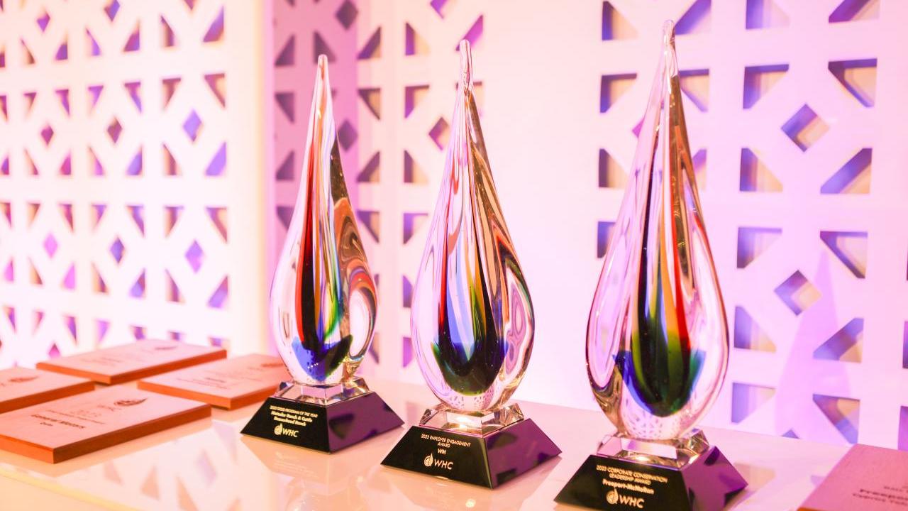 Three large glass awards