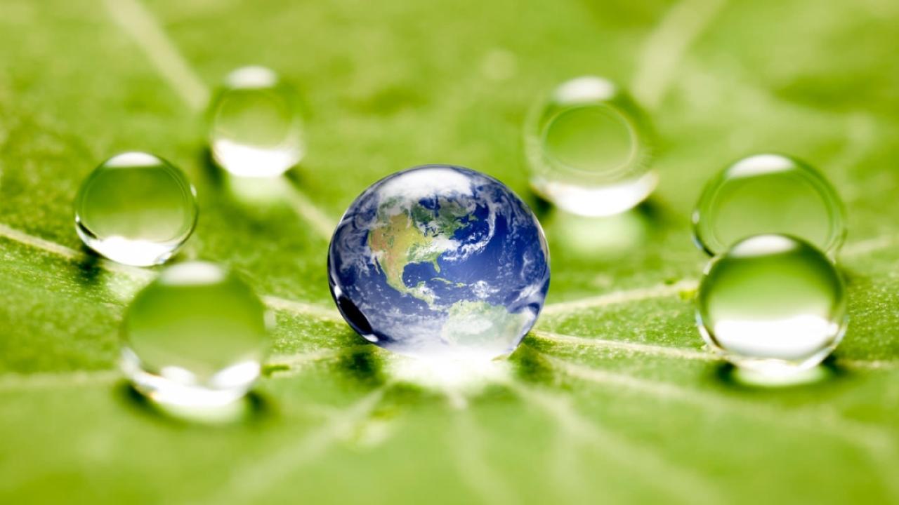 Water droplets