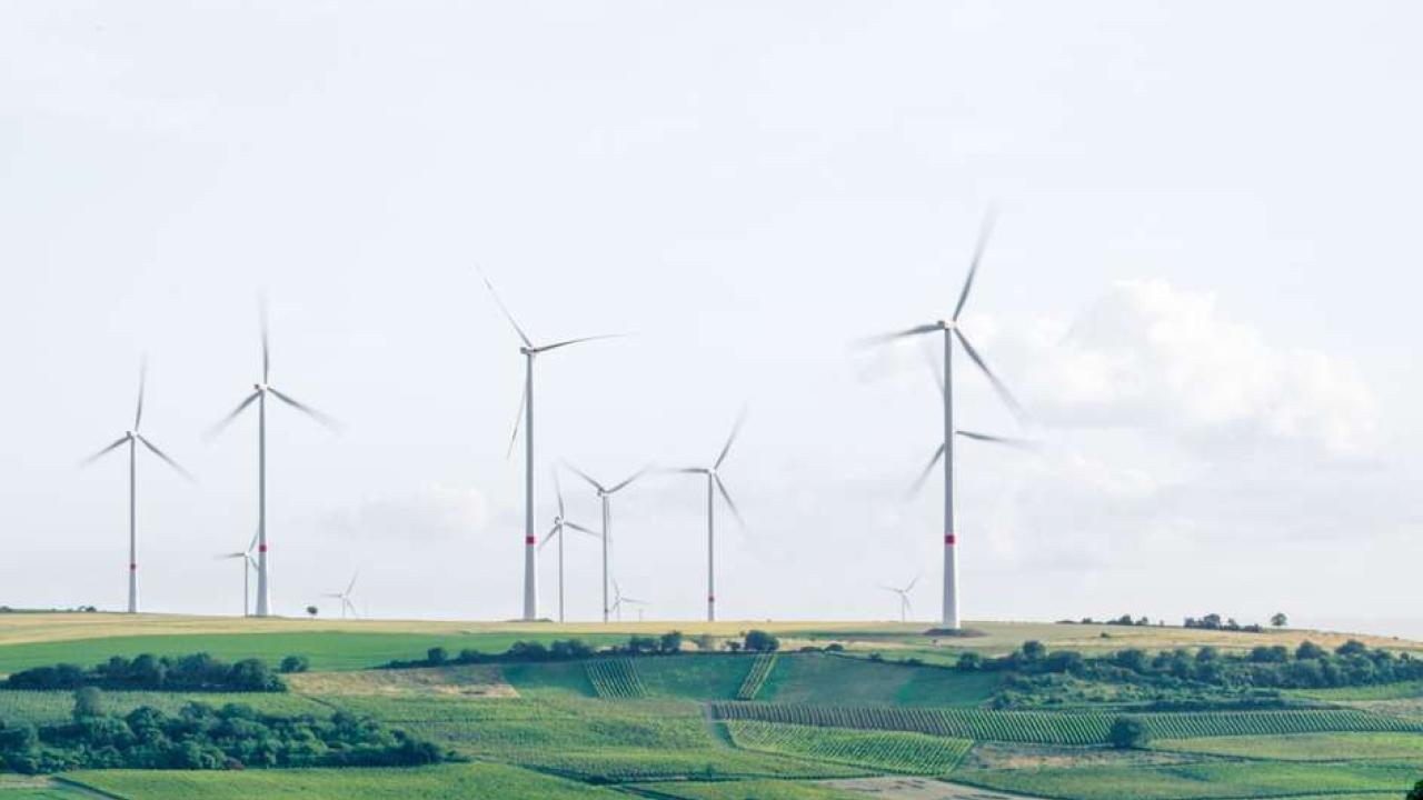 windmills in a field