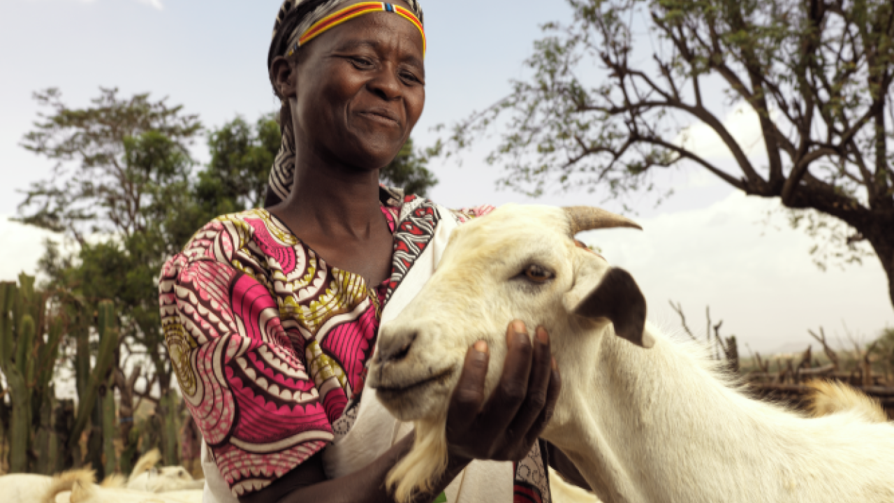 Rosalyne, 35, raises hearty Galla goats in West Pokot County, Kenya, with support from Action Against Hunger. Photo by: Peter Caton for Action Against Hunger, Kenya