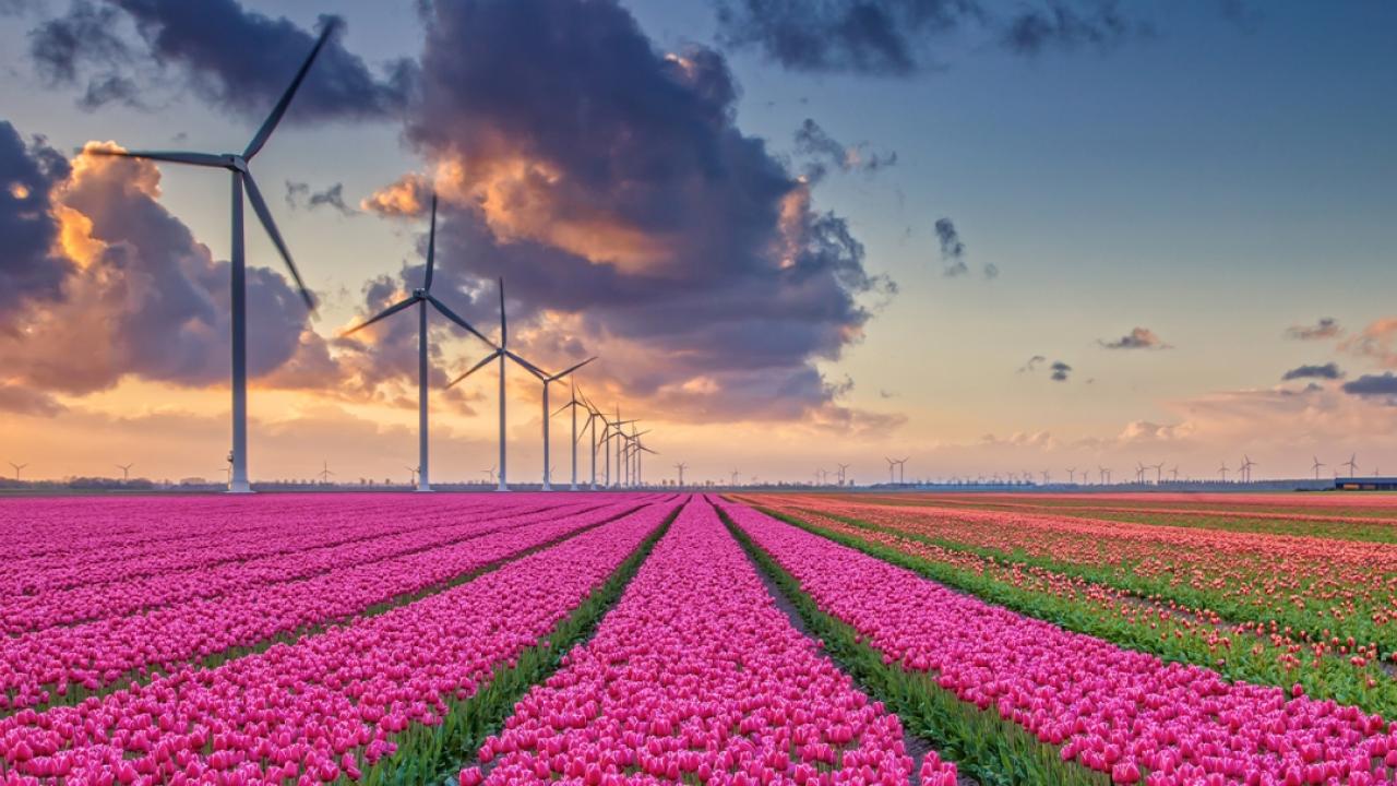 AB Low Carbon Investing