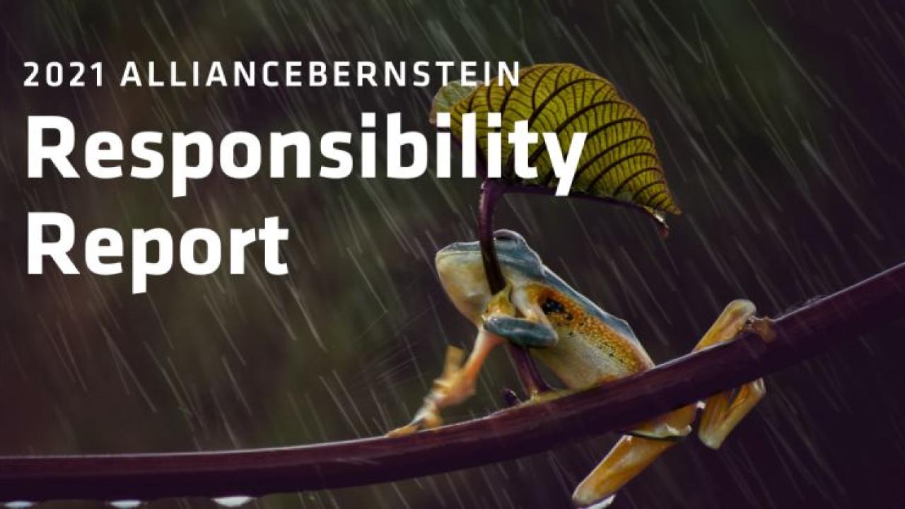 2021 AllianceBernstein Responsibility Report. A frog on a branch holding a leaf like an umbrella in the rain