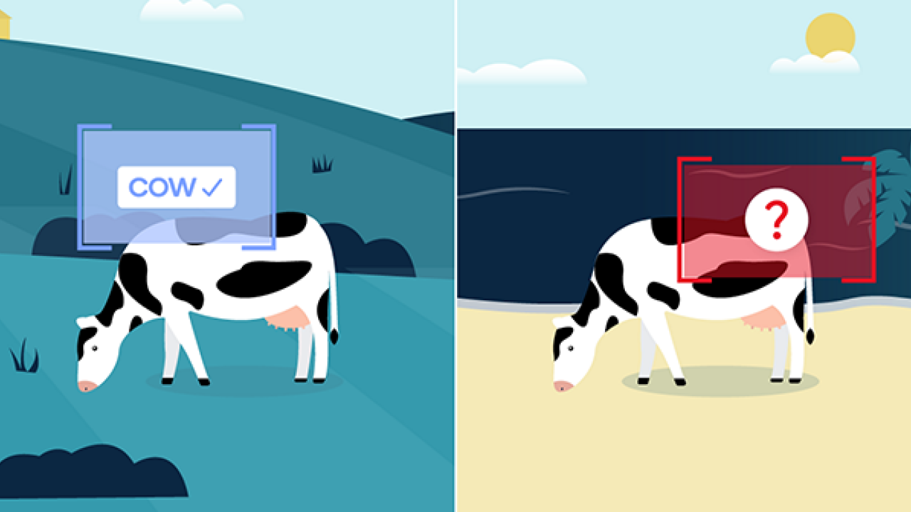 side by side digital rendering of a cow in a field and a box over it "Cow and a checkmark" on the right a cow on a beach and a red box with a "?".