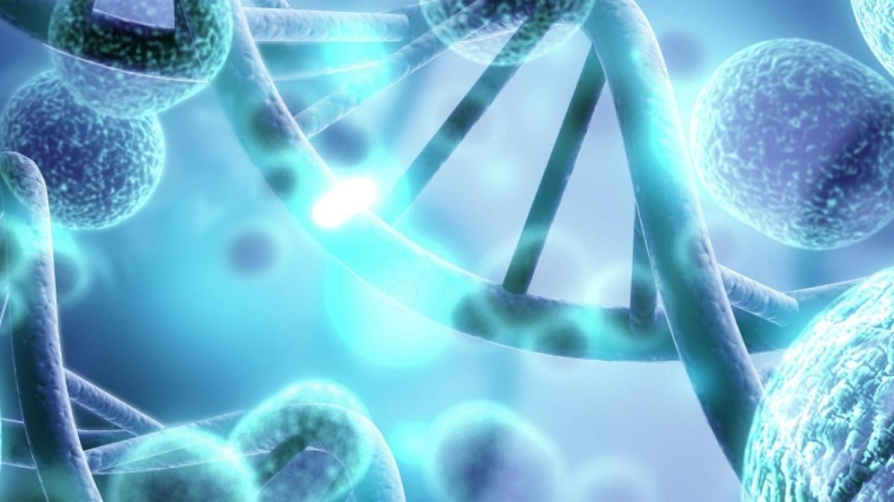 Drawing of DNA cells