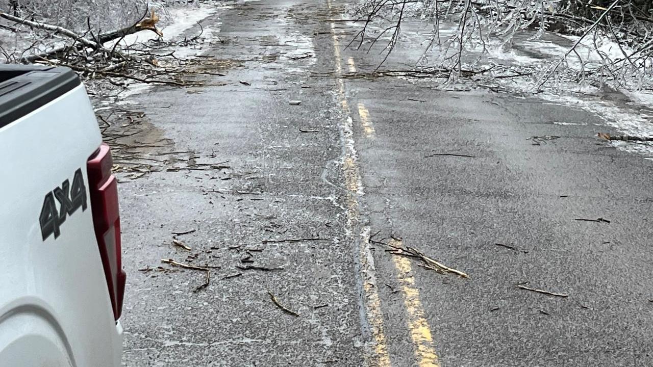 Downed trees in road from ice storm