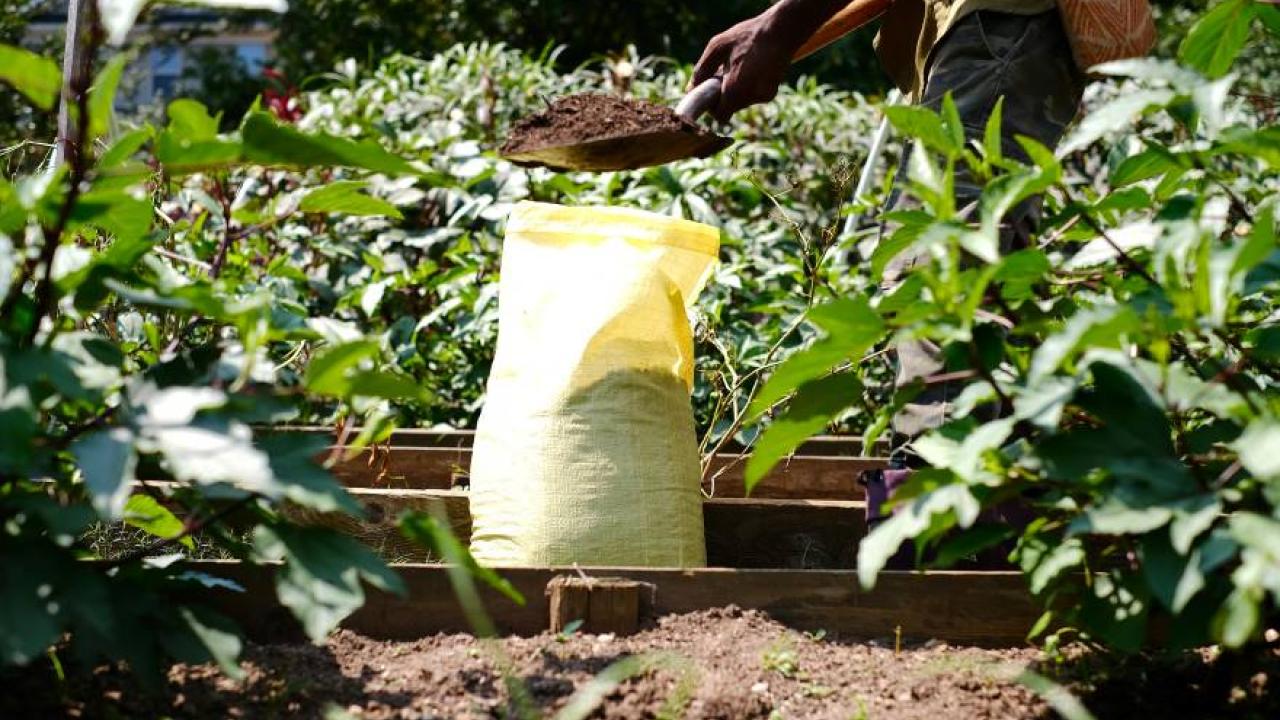bag of compost in a garden