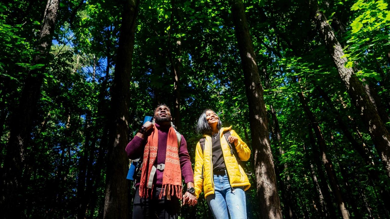 two people standing in a forest