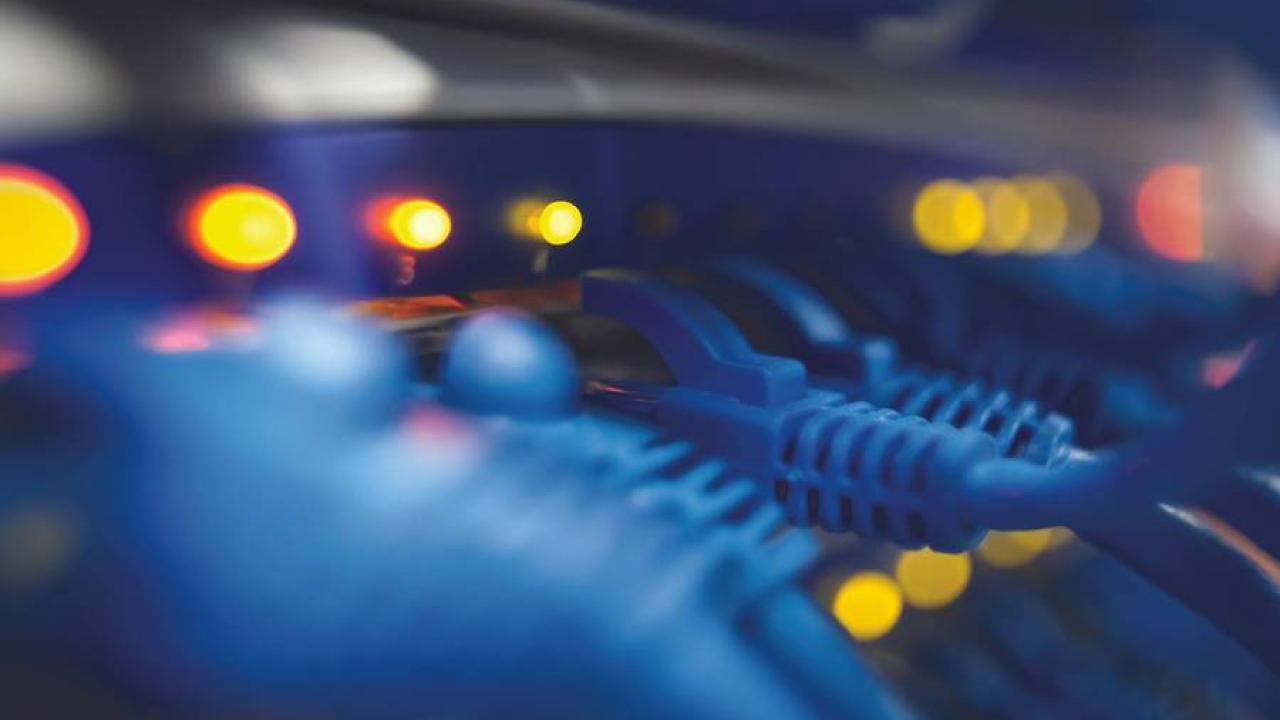 Ethernet cables plugged into ports