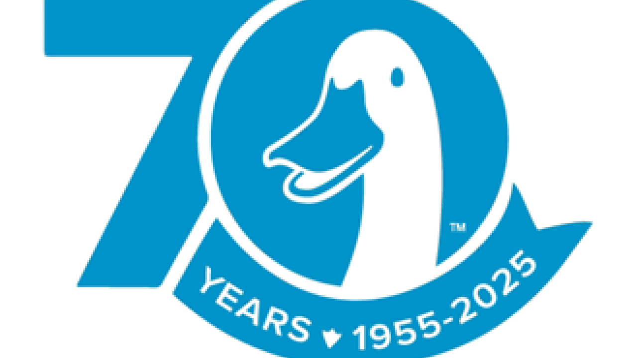 Aflac 70 Years: 1955-2025