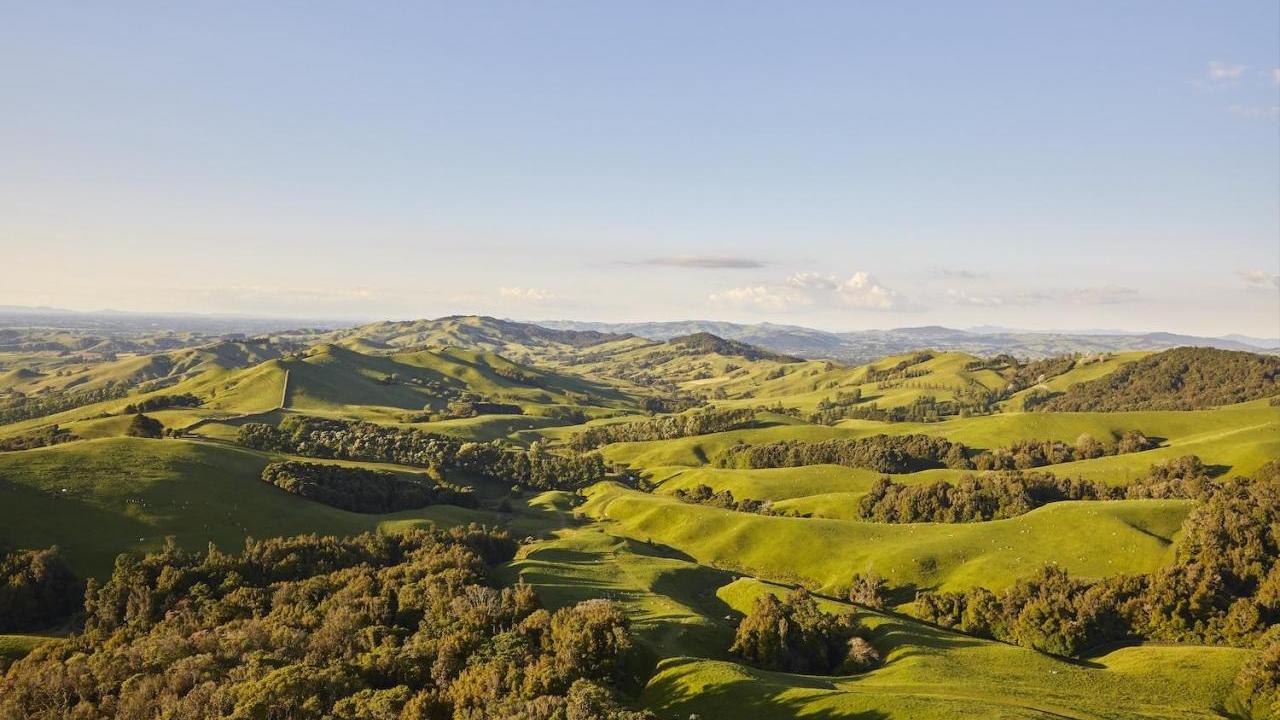 Rolling green hills