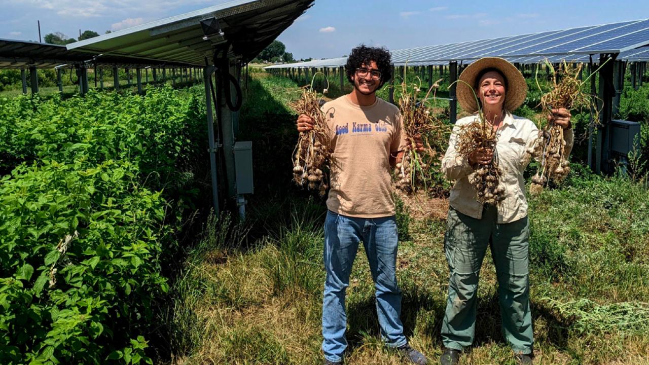 Jack's Solar Garden in Colorado